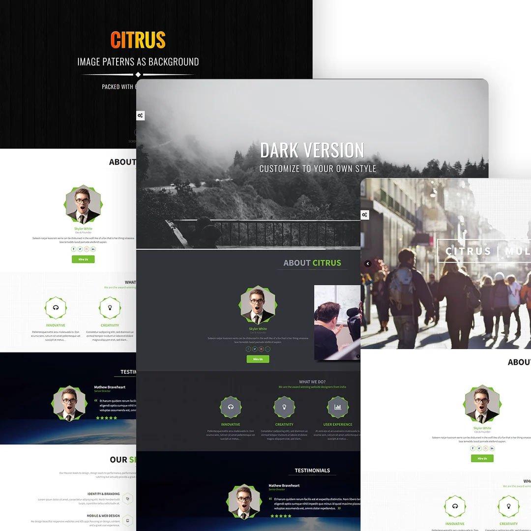 Citrus - One Page WordPress Theme